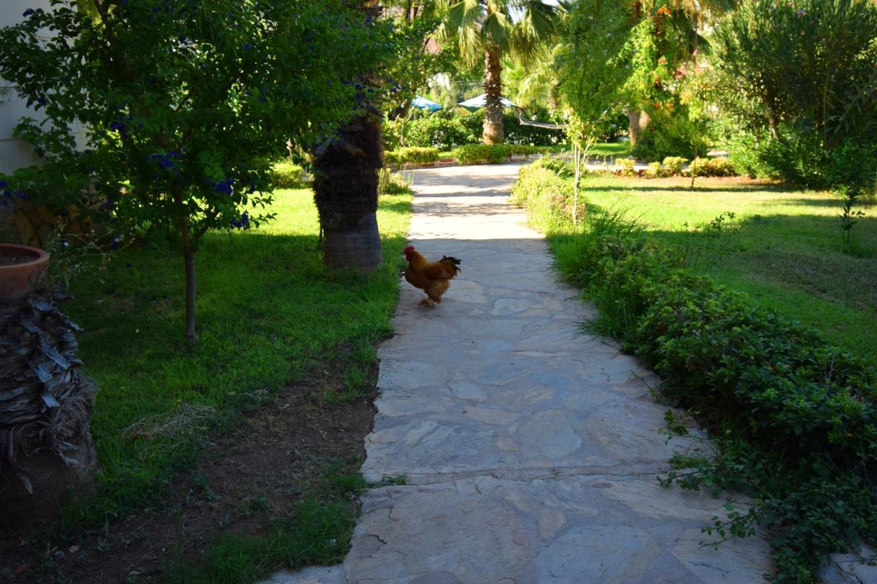 فندق Adrasan Beach Club أنطاليا المظهر الخارجي الصورة
